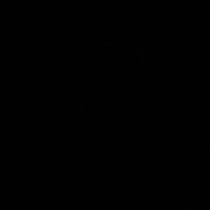 Meet your Posher, Kiara